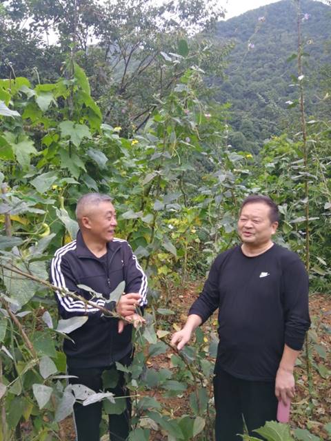 微信图片_幸大学